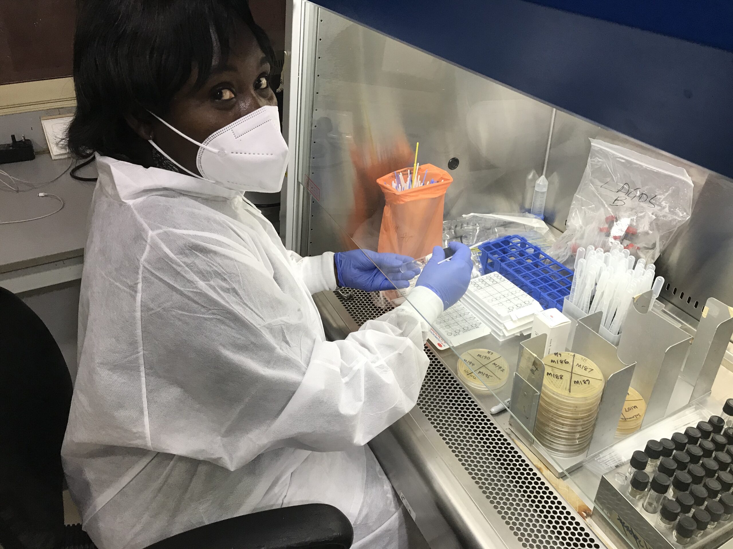 Mabel processing cultures for antimicrobial susceptibility testing at the National Reference Laboratory, NCDC, Gaduwa in Nigeria.