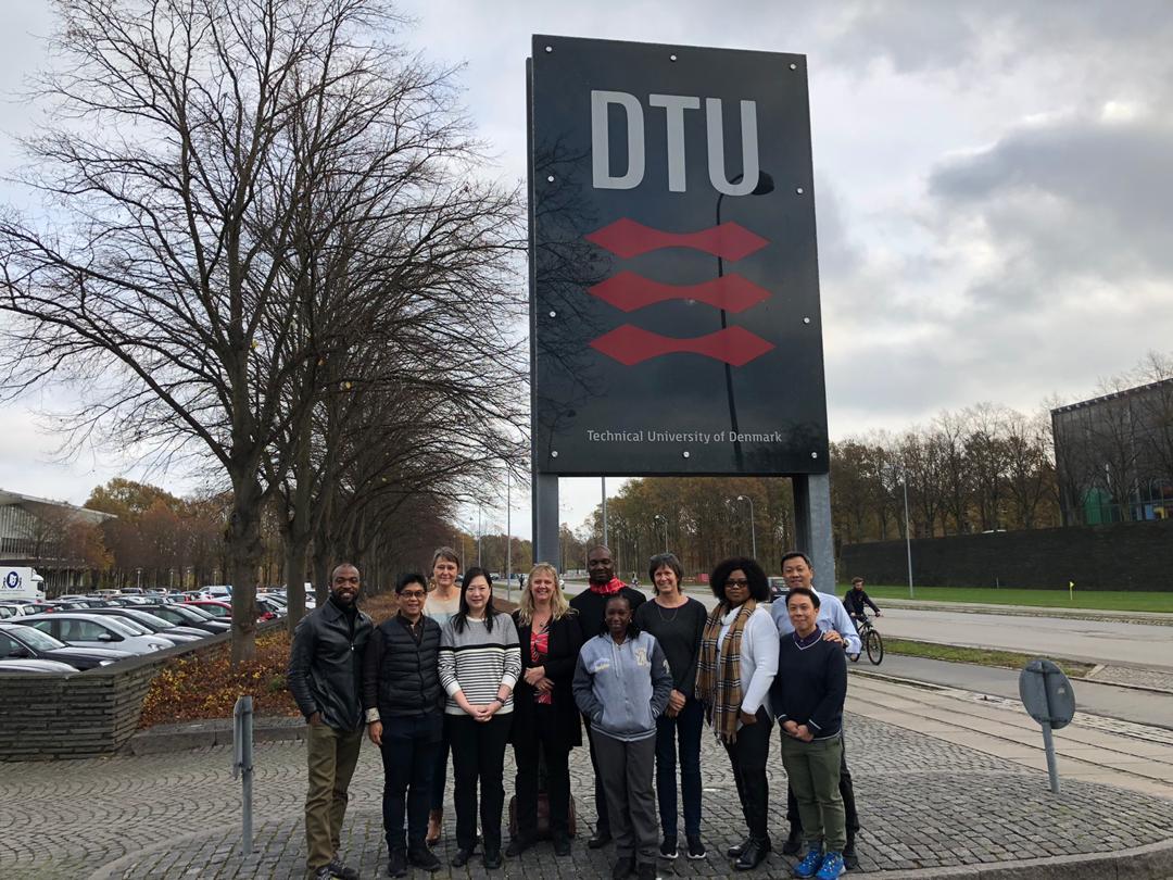 Emmanuel's fellowship Host Institute, the Technical University of Denmark.